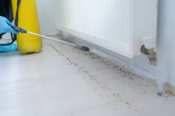  Alderwood Manor, WA Pest Control Pros