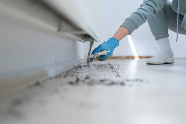 Best Pest Control Near Me  in Alderwood Manor, WA